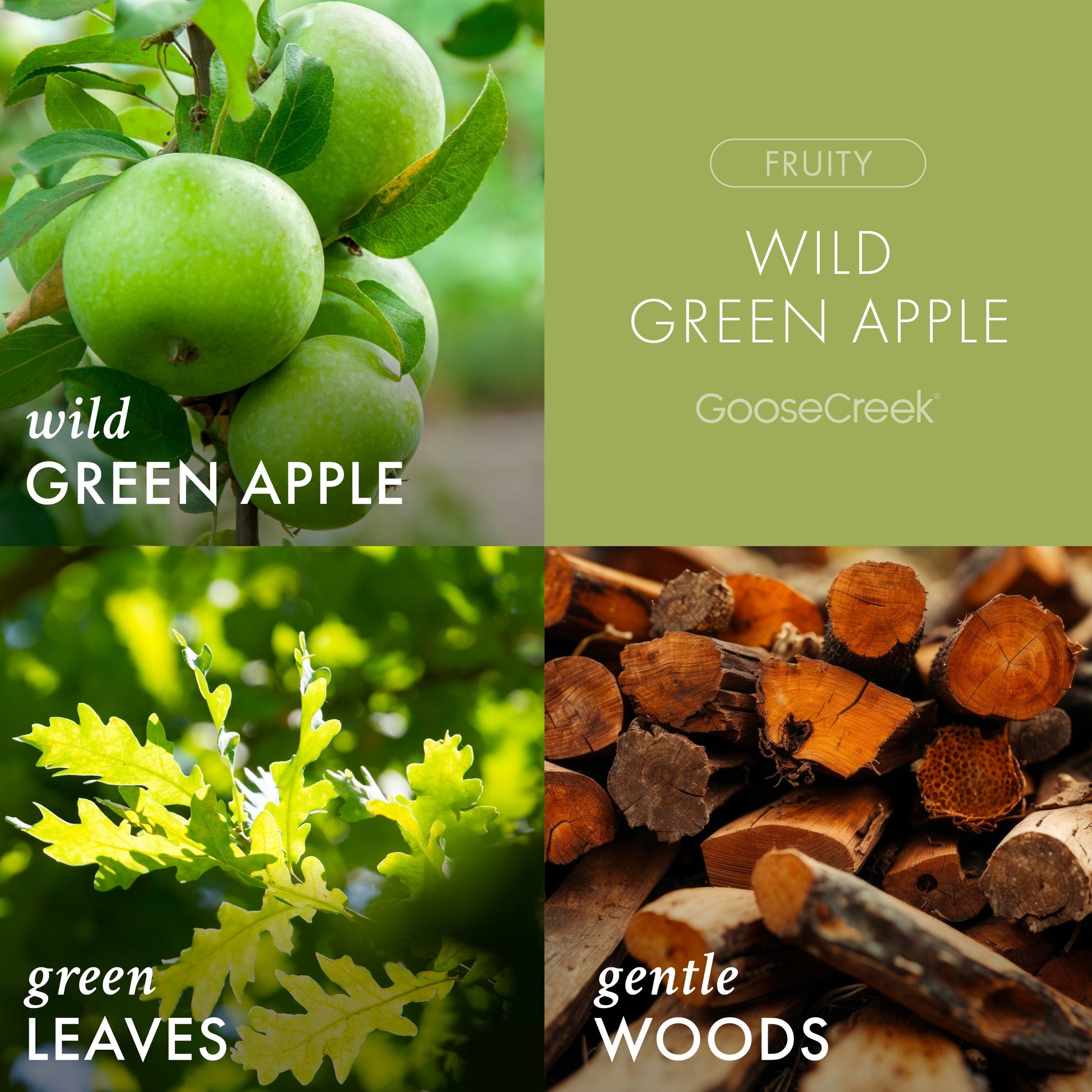 Wild Green Apple Odor Eliminating Plug-in Refill