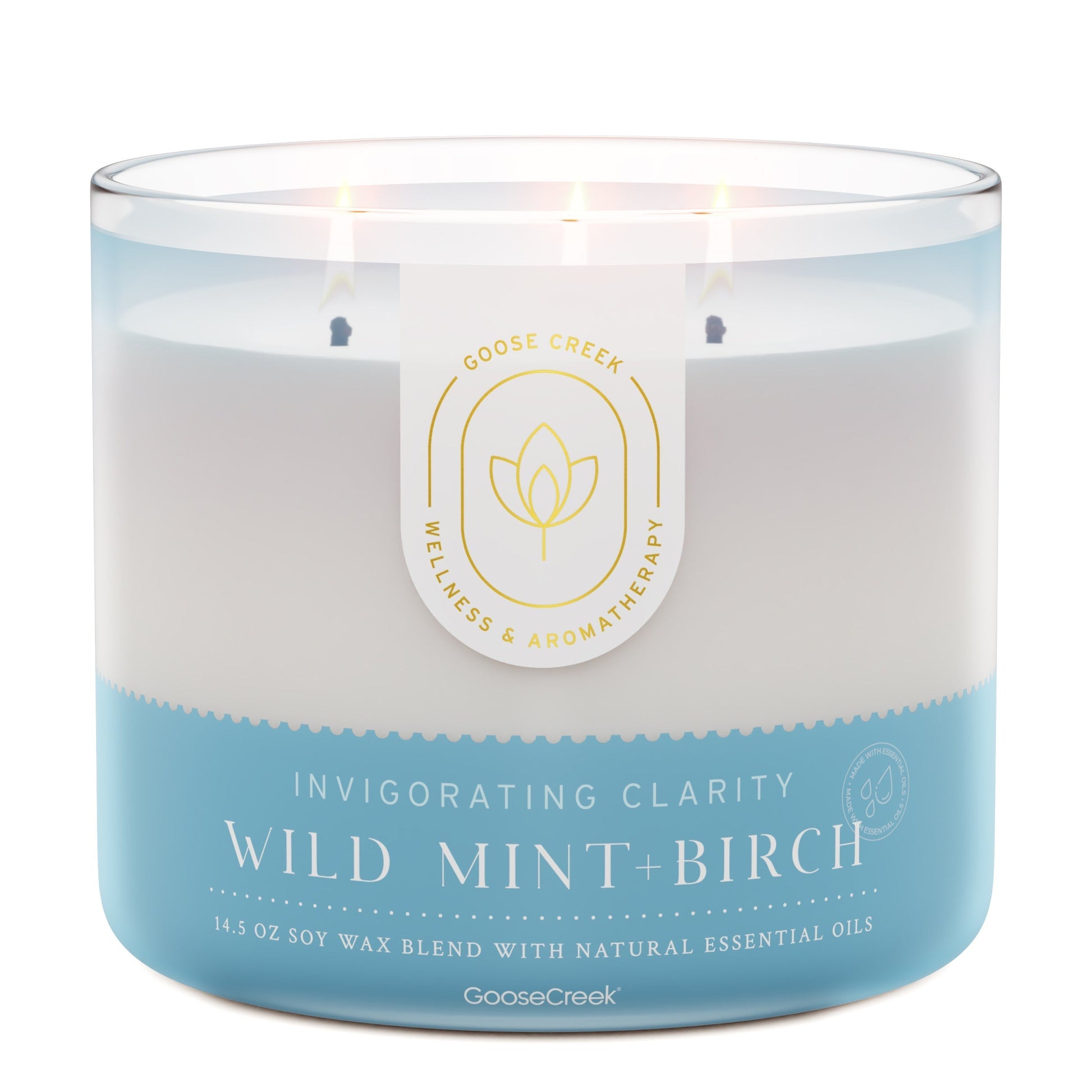 Wild Mint & Birch Aromatherapy 3-Wick Candle