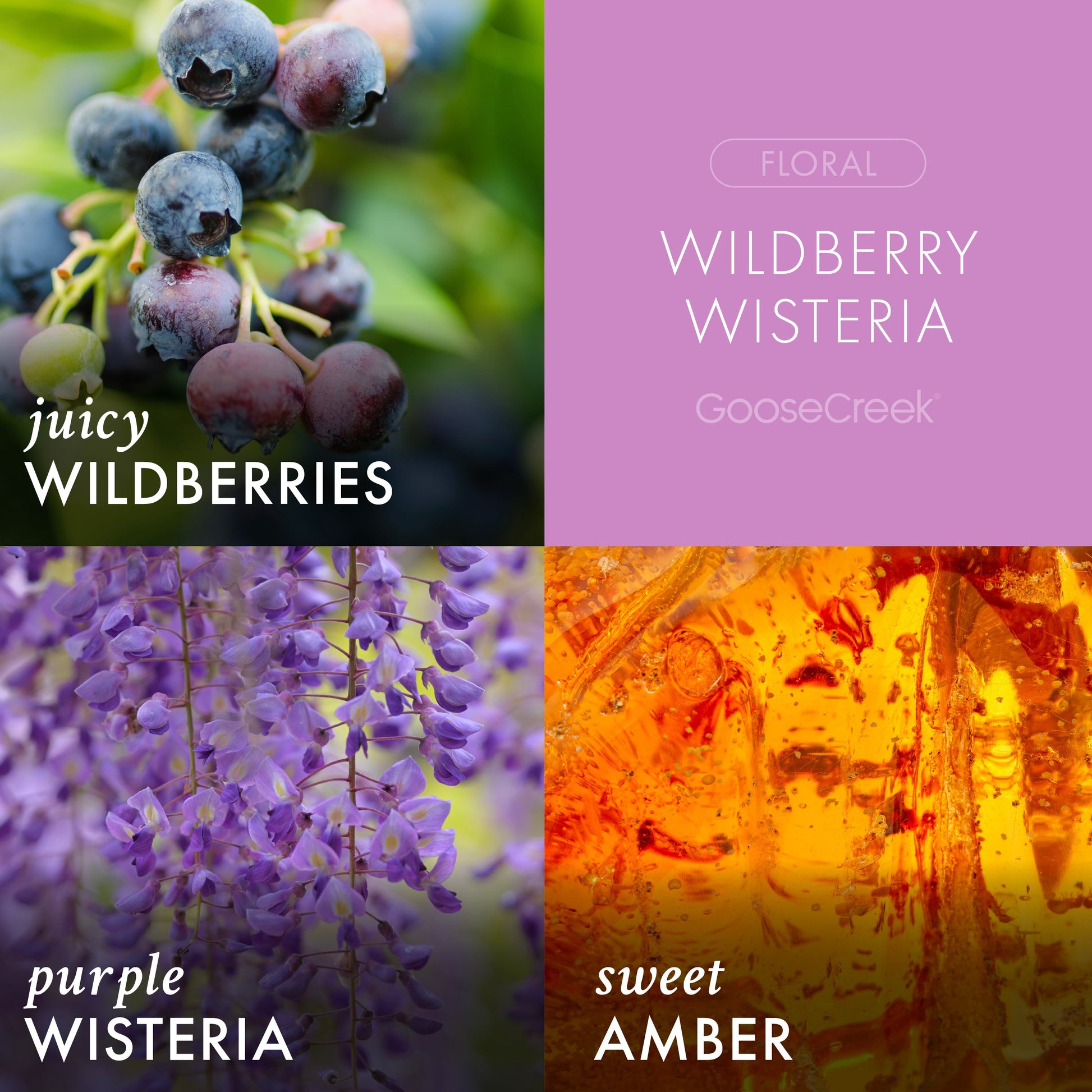 Wildberry Wisteria 3-Wick Candle